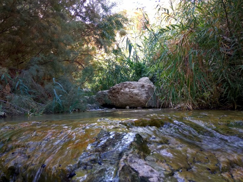 בן-רפאל-בן-יצחק