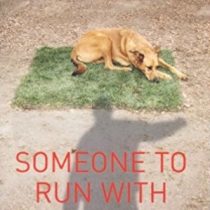 Someone to Run With