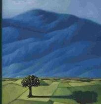 The Blue Mountain